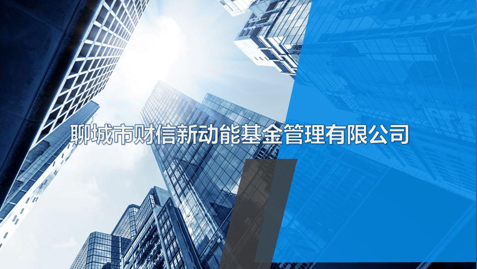聊城市財信新動能基金管理有限公司
